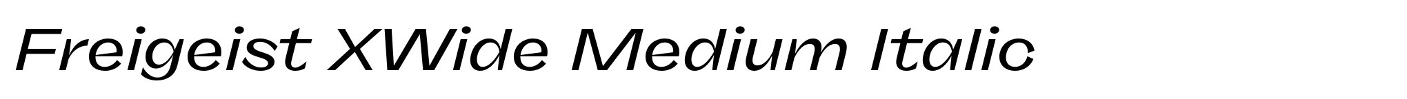 Freigeist XWide Medium Italic image